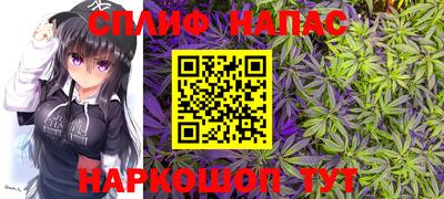 гашик Будённовск