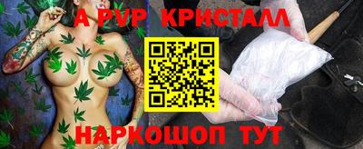 гашик Будённовск
