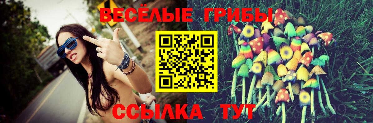 Галлюциногенные грибы Psilocybe Самара