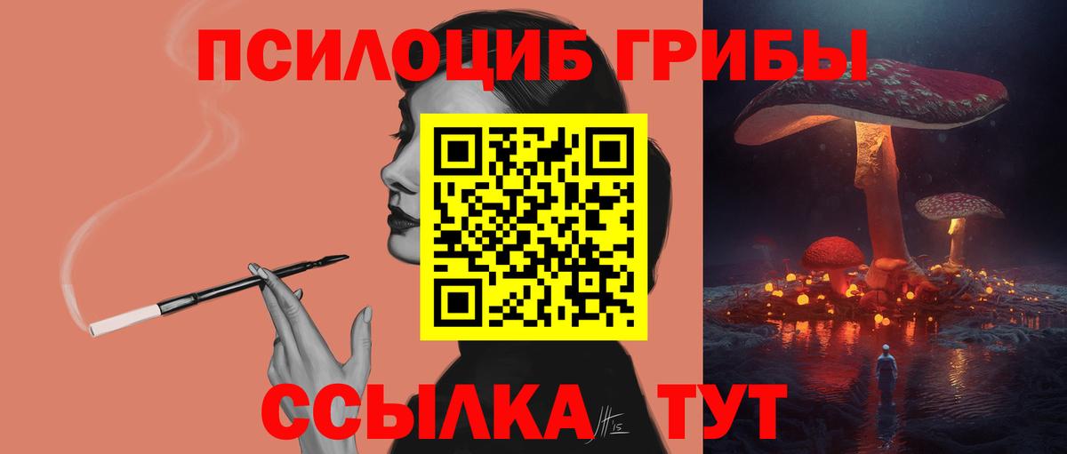 Псилоцибиновые грибы Cubensis  Вход с VPN  Самара 